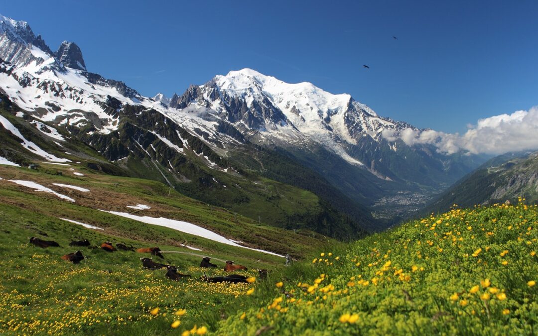 De mooiste natuur bezienswaardigheden in de Alpen